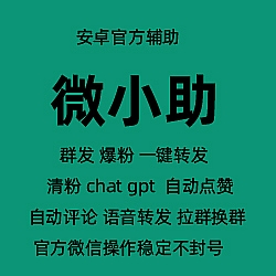 安卓辅助-微小助